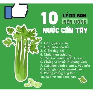 Bột cần tây sấy lạnh