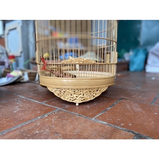 Lồng Chim Choè Lửa, Choè Than, Chào Mào hàng 64- 68cm