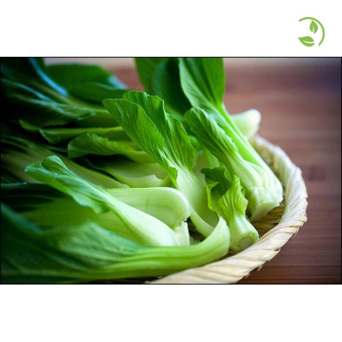 Hạt Giống Cải Thìa Cao Sản Phú Nông - Gói 20g- 50g - Pak Choy Green