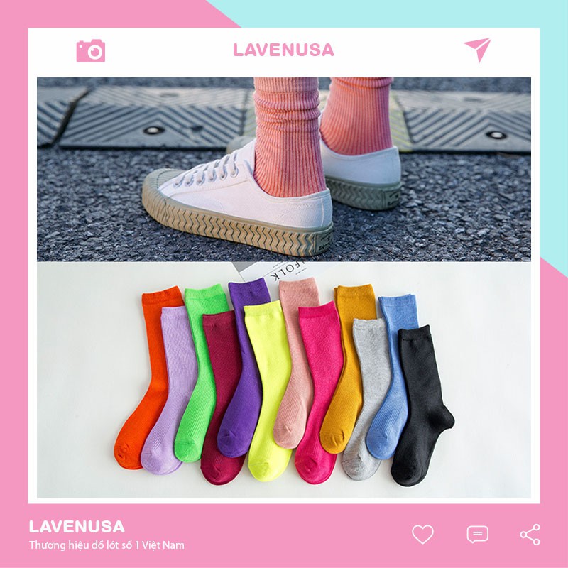 Tất vớ nữ cổ cao nhiều màu cotton co giãn T16