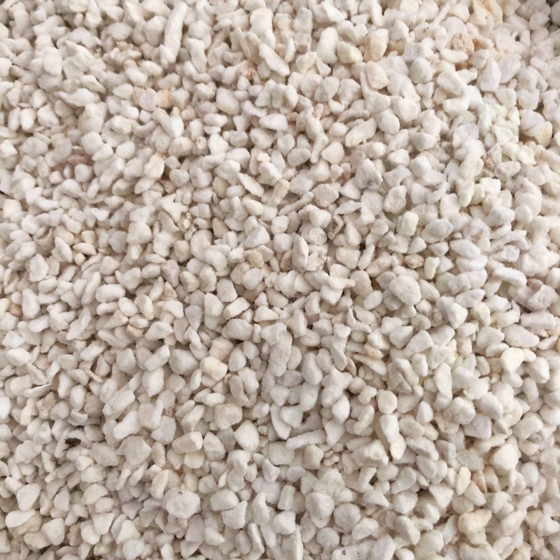 Perlite dùng trộn đất , rải mặt vvvv, sang trọng thêm cho cây túi 100gram