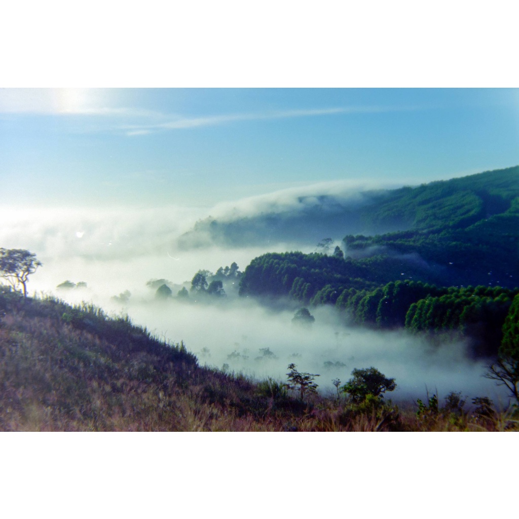 Phim Kodak Color Plus ISO 200, Màu Color, 135/35mm x 36 Kiểu, In Date Cho Máy Chụp Ảnh Film - LIIQ Flash