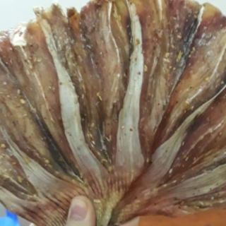 Cá đuối ghim Vân Đồn