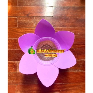 Hoa đăng 6 cánh đơn sắc