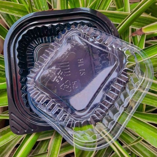 50 hộp HT12 đế đen nắp trong Tân Đông Phương