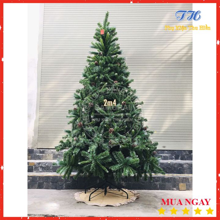 HỎA TỐC HCM Cây Thông Noel 3 Loại Lá Gắn Trái Thông 2m1, 2m4, 3m  Trang Trí Giáng Sinh