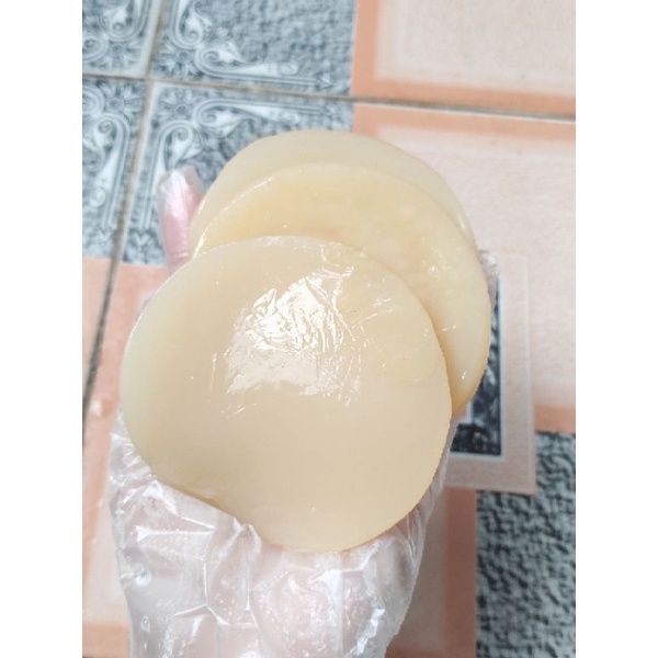 Nấm Kombucha/scoby kèm nước mồi