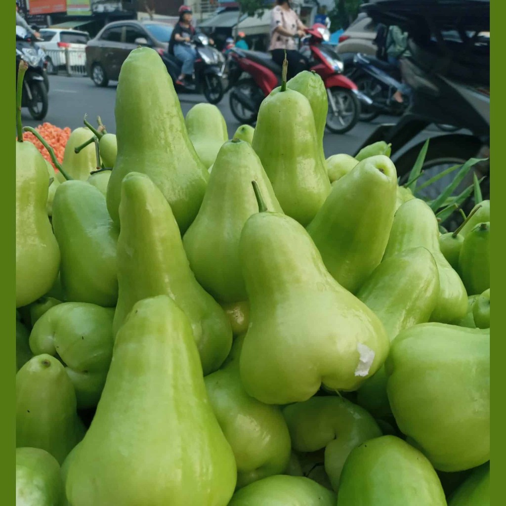Cây Mận Xanh Tam Hoa