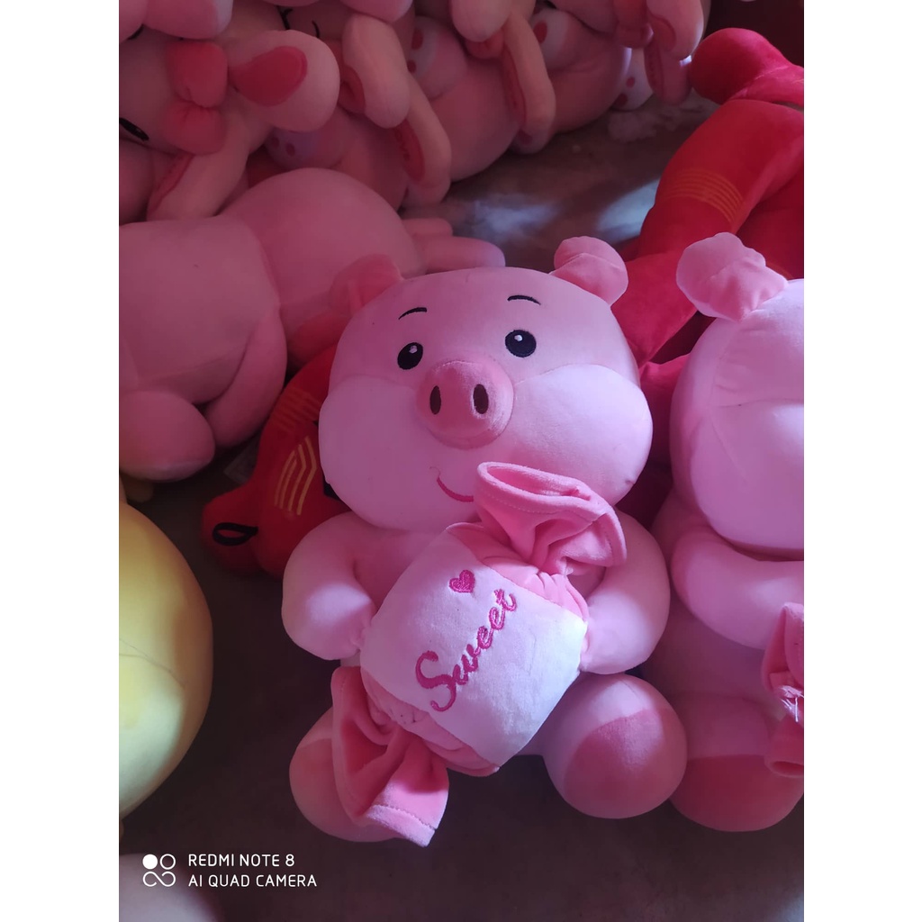 Gấu bông Heo bông ôm kẹo