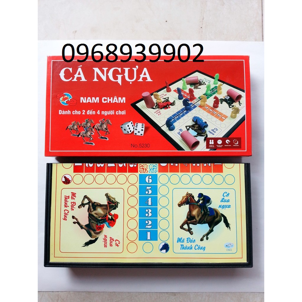 Bộ cờ cá ngựa nam châm