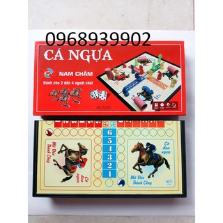 Bộ cờ cá ngựa nam châm