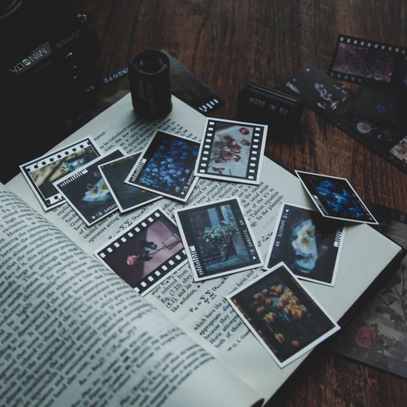 Set 10 tấm sticker nhãn dán hình cuộn phim phong cách phong cảnh thiên nhiên hoa cỏ trang trí sổ tay diy kiều diễm my