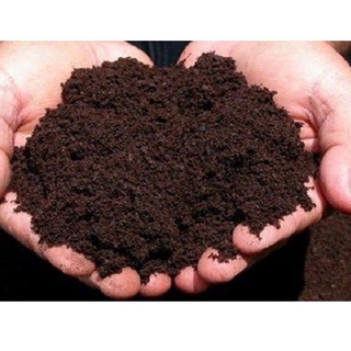 Phân Trùn Quế Hữu Cơ SFARM Cao Cấp (túi 2kg)