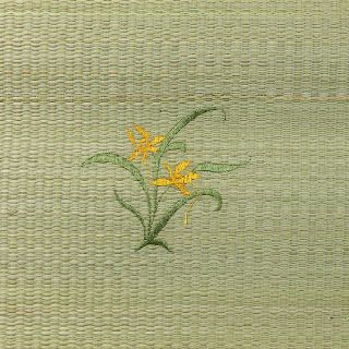 CHIẾU CÓI CHO BÉ LOẠI NHỎ( 40x60cm)