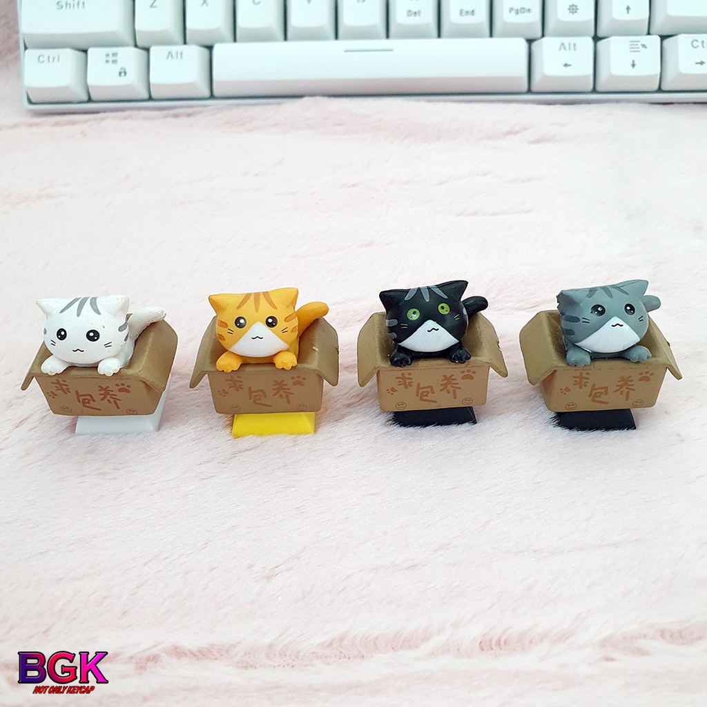 Keycap lẻ hình Mèo Con Trong Hộp siêu dễ thương Keycap Artisan