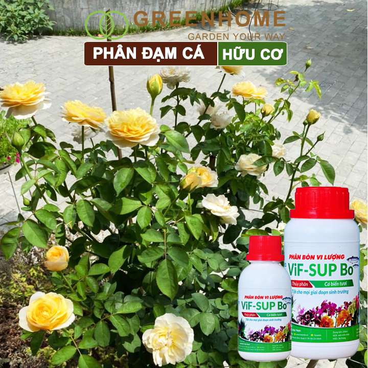 Phân đạm cá minro Greenhome, chai 100ml, hữu cơ giúp thân, rễ cây khoẻ, siêu chồi và hoa