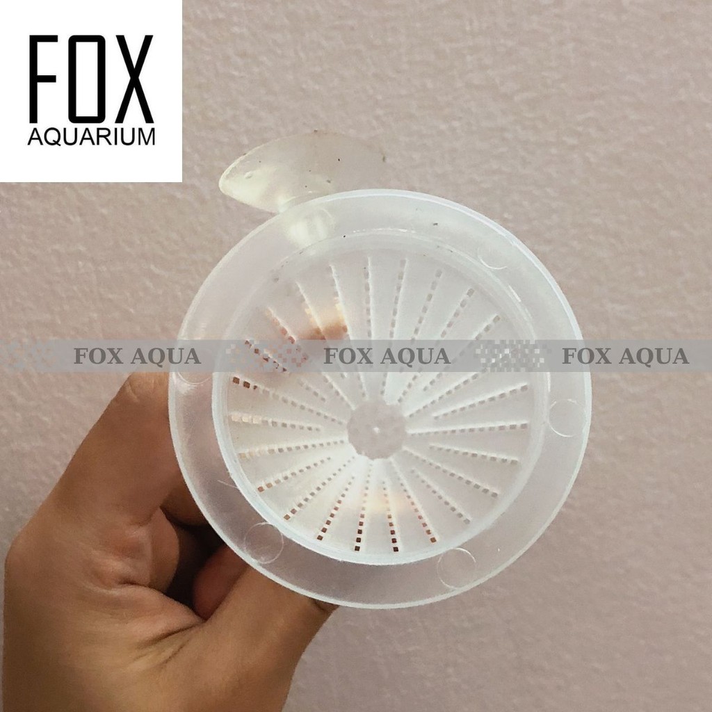 Giỏ đựng thức ăn cho cá cảnh | Phễu đựng trùn chỉ, giun dụng cụ đựng thức ăn cho cá
