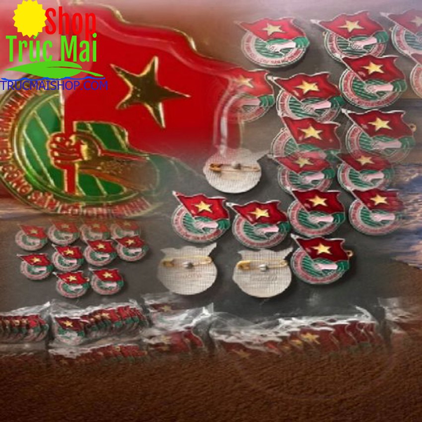 Huy Hiệu Đoàn Việt Nam