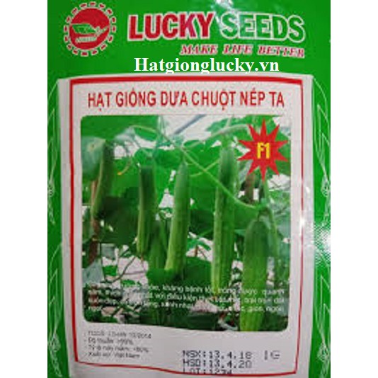 Hạt Giống Dưa Chuột - Dưa Leo Nếp Cao Sản LUCKY SEED - Túi 1Gam.