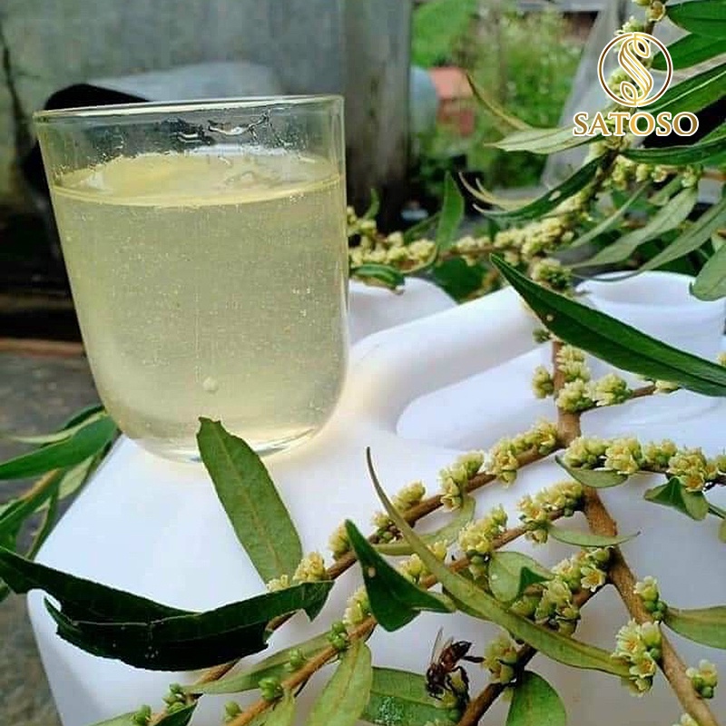 Mật ong trắng hoa Blong Song nguyên chất tốt cho sức khỏe SATOSO SA126