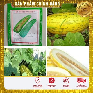 Combo 2 gói hạt giống Dưa Gang F1 ,Tặng 1 SRR