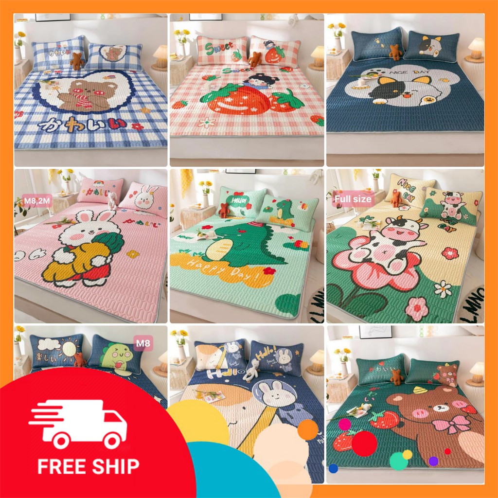 [Xả kho] Chiếu Điều Hoà Cao Su Non 5D Loại 1 Mát Lạnh (tặng kèm 2 vổ gối)