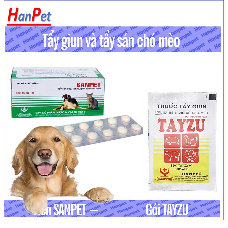 [Mã PET2405 giảm 10% đơn 250K] Hanpet.GV- Xổ giun chó - xổ lãi chó mèo Hanmectin & tay zun