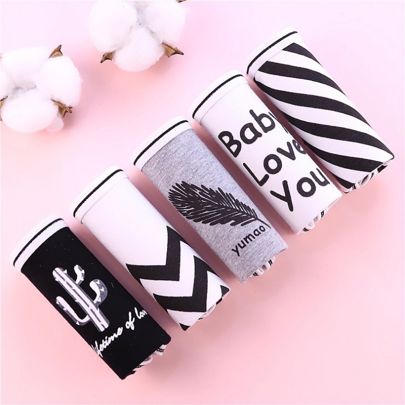 [CHE TÊN 100%] Set 5 Chiếc Quần Lót Nữ Cute Quần Chíp Xương Rồng Chất Cotton Quảng Châu Cao Cấp Sexy Xịn Đẹp Lamodu Shop | BigBuy360 - bigbuy360.vn
