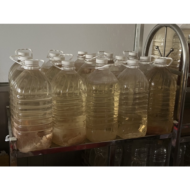 Giấm nuôi + con giấm dày khỏe