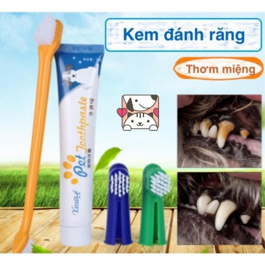 Bộ đánh răng chó mèo và bàn chải đánh răng thơm miệng an toàn cho thú cưng - Date Mới - vanhpet
