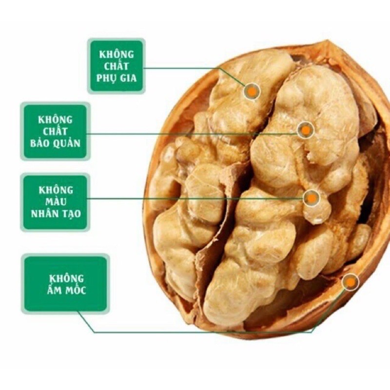 1KG ÓC CHÓ RỪNG SAPA HÀNG CAO CẤP QUẢ TO NHÂN MẨY