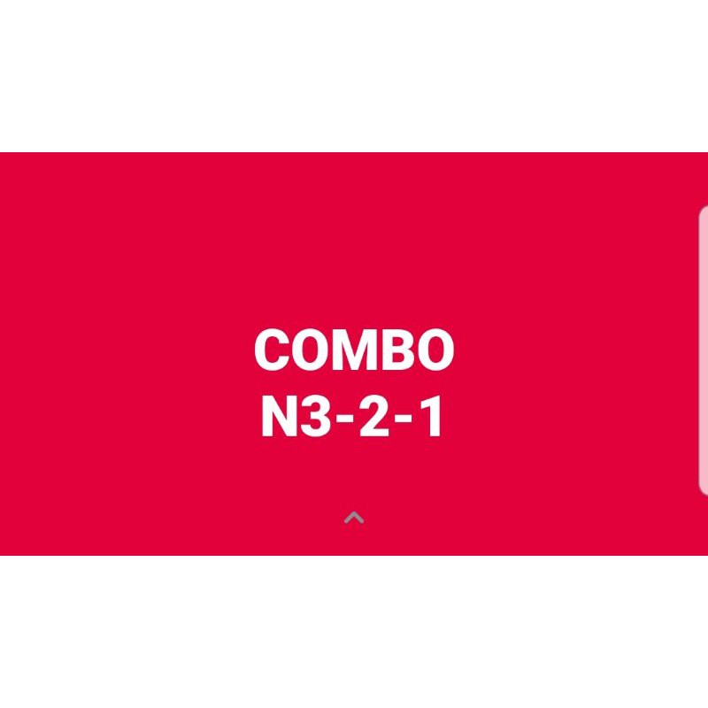 COMBO TỔNG N3-2-1