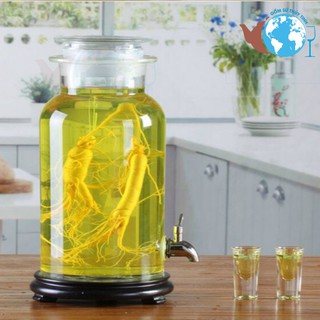 Bình ngâm rượu 50l