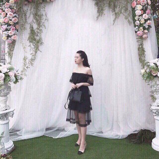 Đầm dự tiệc