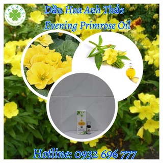 Dầu Hoa Anh Thảo Evening Primrose Oil - 100ml