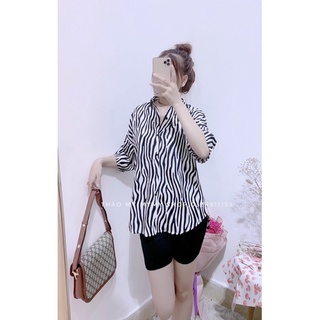 Set áo sơ mi quần ngố