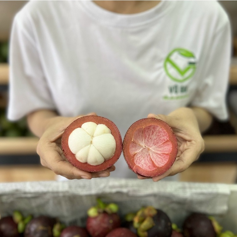 Măng cụt Bảo Lộc Lâm Đồng ( 500G/1KG ) - Vũ Gia Farm