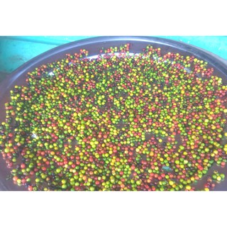 Hồ tiêu 1kg