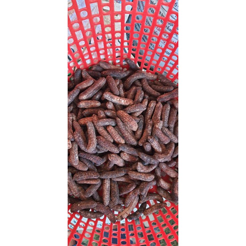 1kg Chuối hột rừng tây nguyên hàng Kon Tum sấy chất lượng đóng túi hút chân không