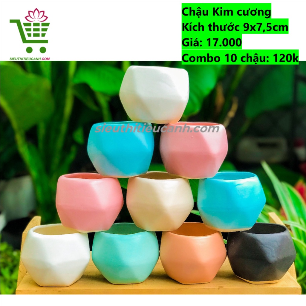 10 Chậu Sứ Cao Cấp Trồng Sen Đá, Tiểu Cảnh, Decor