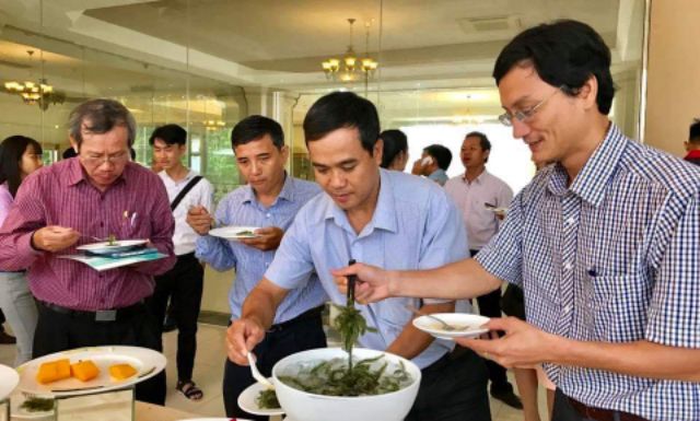 [FREESHIP 99K TOÀN QUỐC]Rong Nho Khô Trí Tín Hộp 200 gr | BigBuy360 - bigbuy360.vn