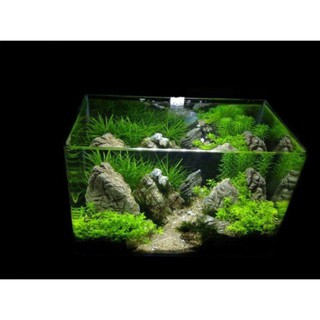 Hồ thuỷ sinh mini, combo 8 món set up hồ thuỷ sinh mini