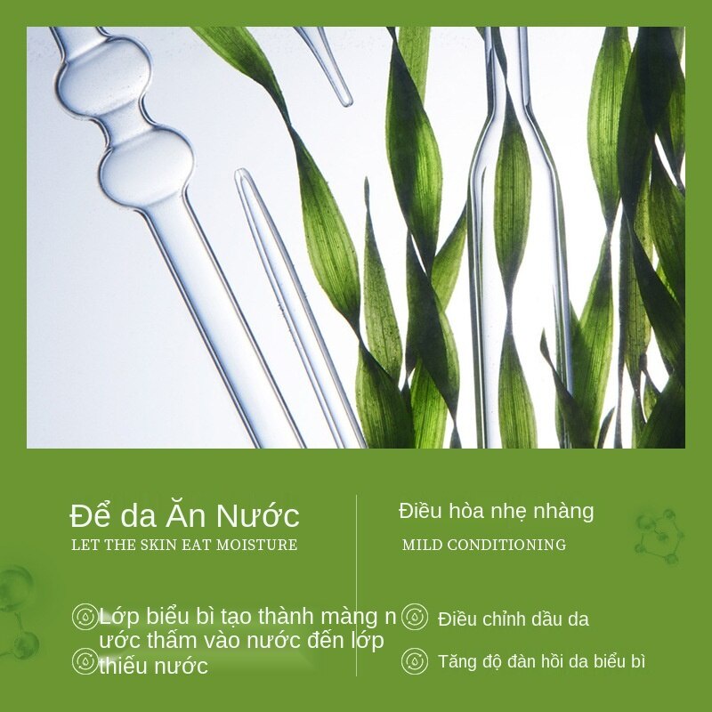 [Hàng mới về] Mặt nạ Bioaoua chiết xuất tảo biển Glycoside dưỡng ẩm thoáng khí | BigBuy360 - bigbuy360.vn