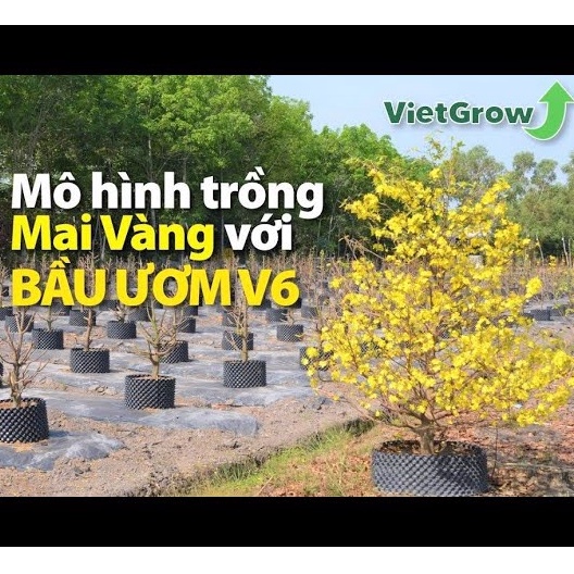 Bầu ươm cây V6 cao 40cm loại dày  nhựa bầu cây - kèm bộ vít bắt, hàng chuẩn cao cấp