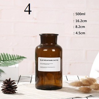 bình thủy tinh cắm hoa