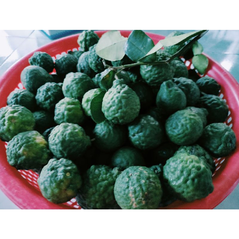 Trái chúc 0,5kg giá 50k. Trái chanh thái. Trái chanh não người