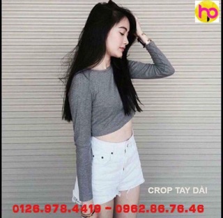 Áo tay dài crop