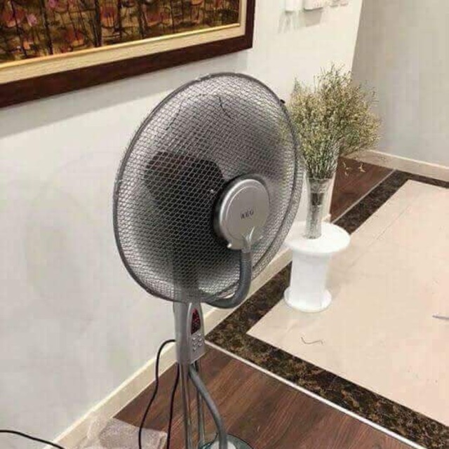 Quạt hơi nước AEG