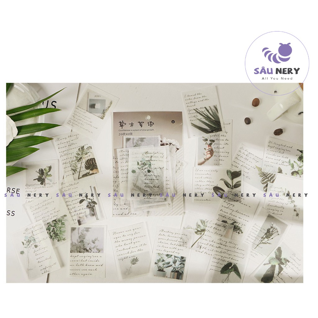 [SALE XẢ HÀNG] Sâu Nery - SN38 - Set 40 miếng dán sticker decor trang trí Time Letter Series INFEEL ME | BigBuy360 - bigbuy360.vn