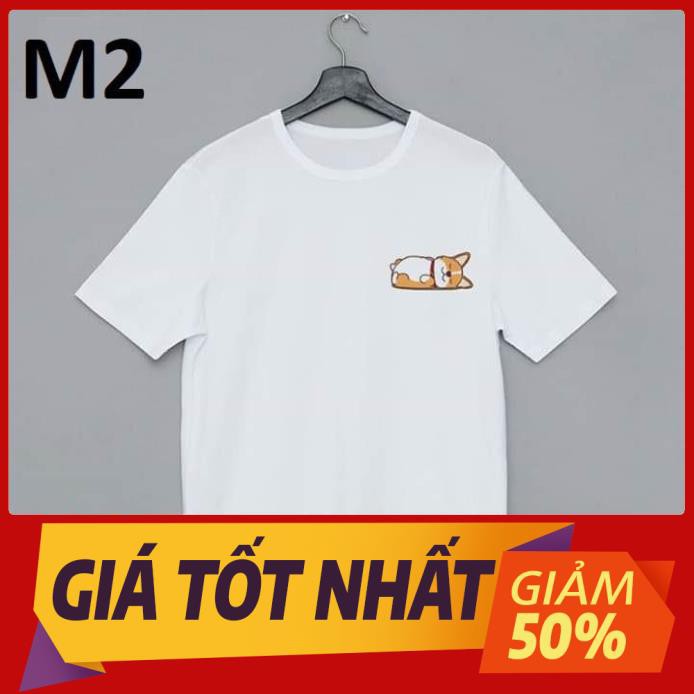 [MỚI VỀ] Áo Phông Trắng Đơn Giản Vải Đẹp Mặc Cực Mát Đủ Size Cho Nam Và Nữ